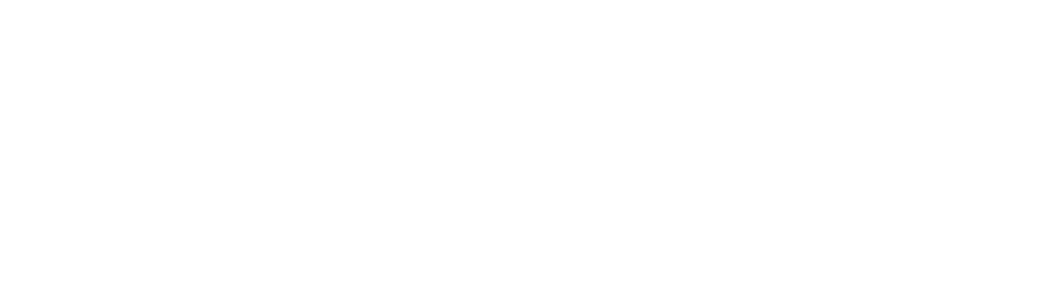 1655873659shopify-black-logo